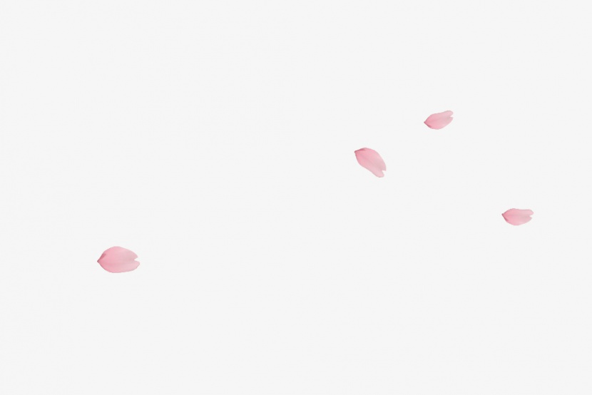 粉色花瓣高清png素材桃花