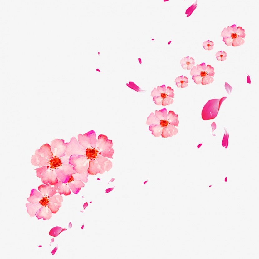 粉红桃花花瓣漂浮