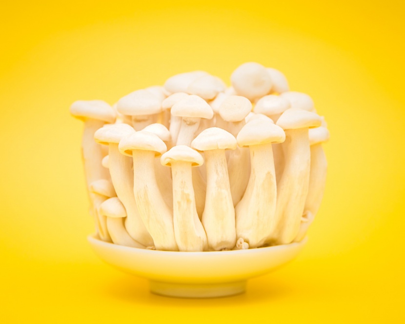 白玉菇黄色背景图片