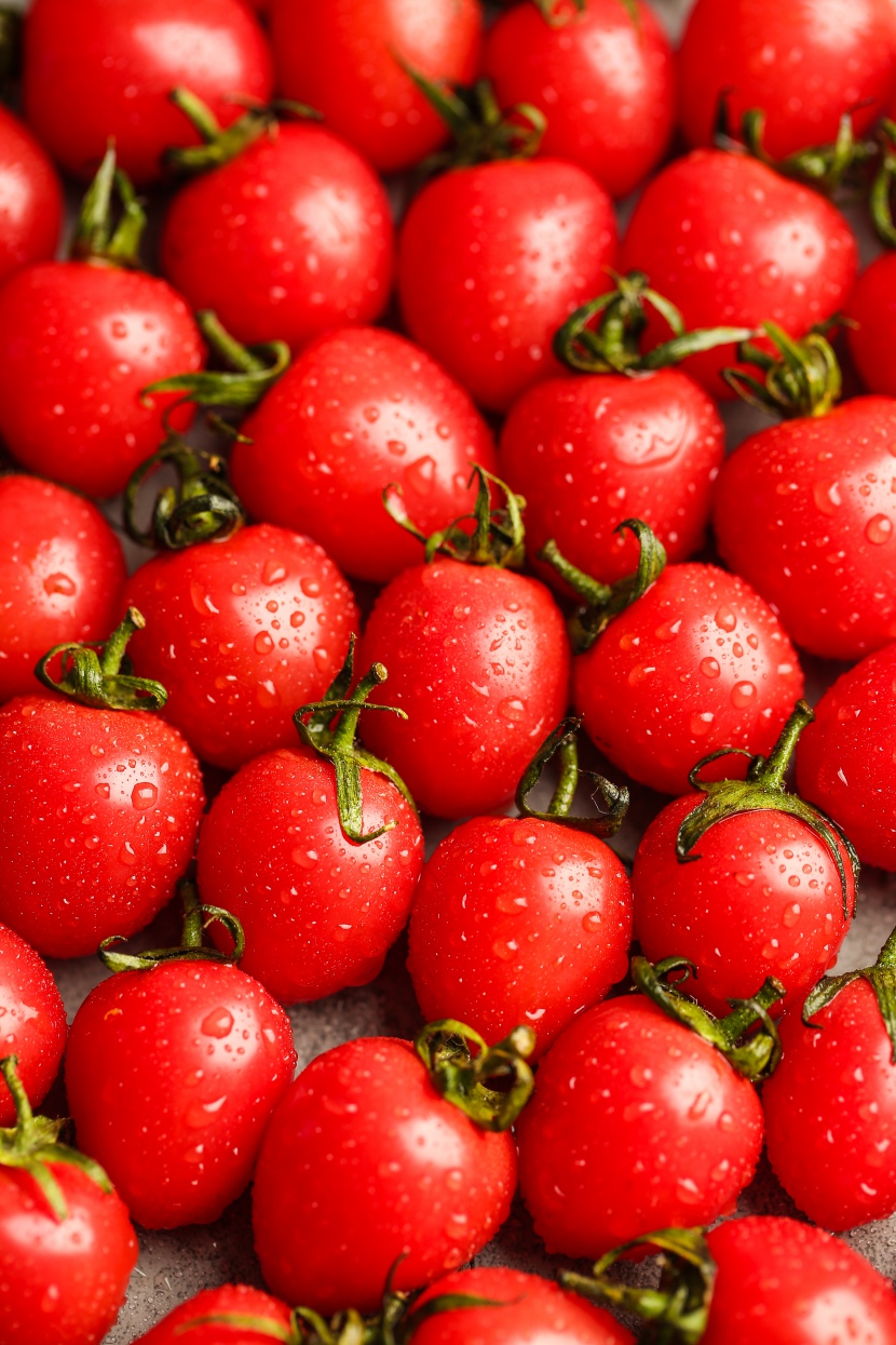 小西红柿圣果