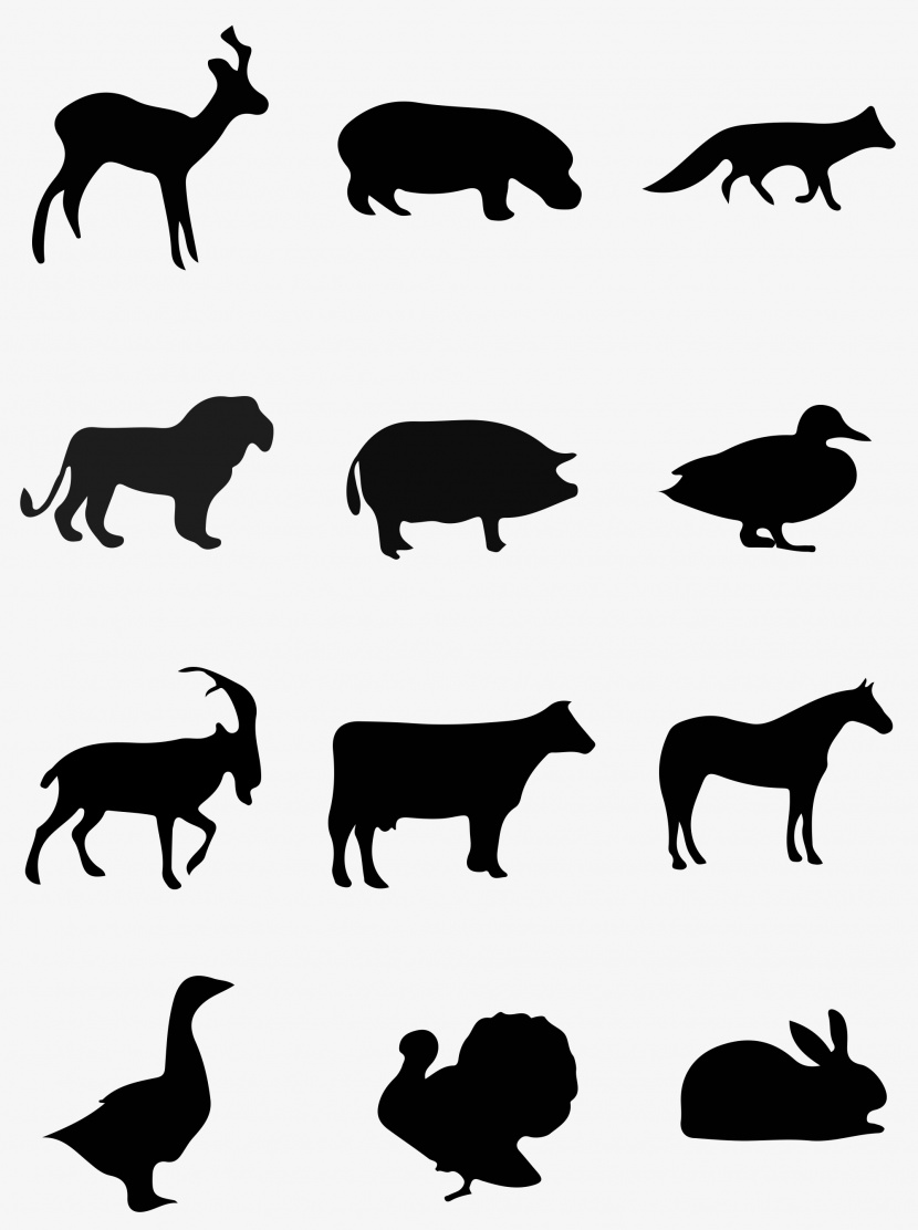 12类动物动态定格剪影图标