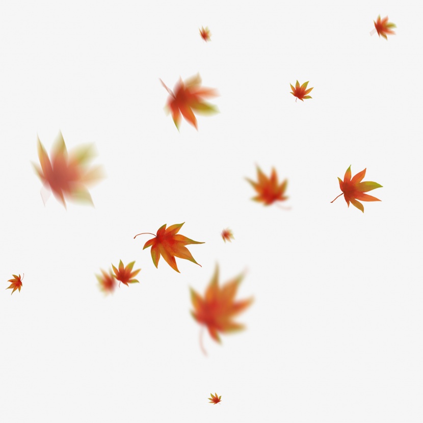 漂浮的枫叶秋天飘落的红枫叶手绘