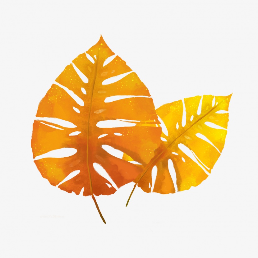 手绘水彩黄色秋叶植物叶子芭蕉叶