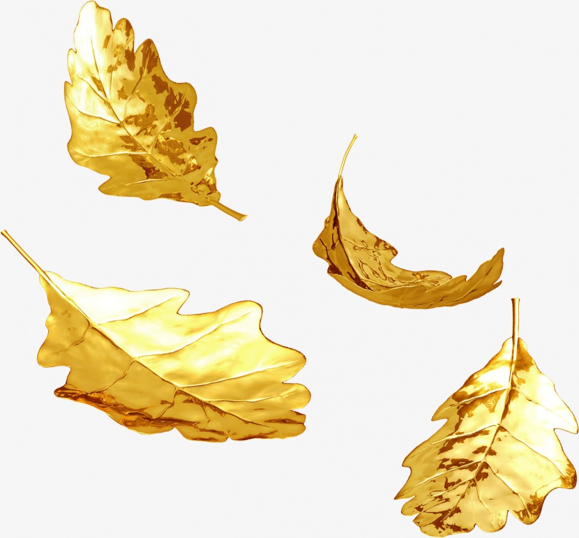 金箔片质感的叶子合集2