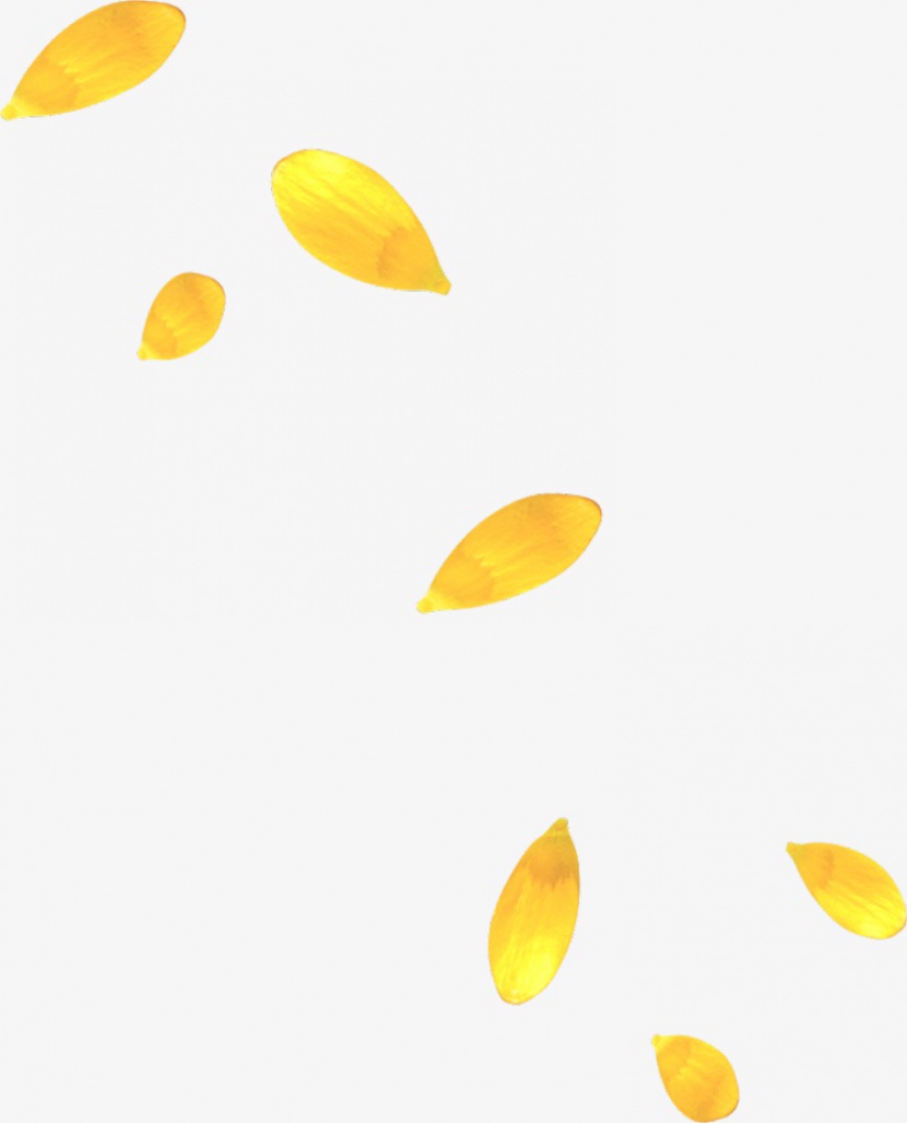 黄色漂浮花瓣