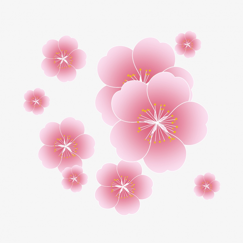 春天粉色的小花插画