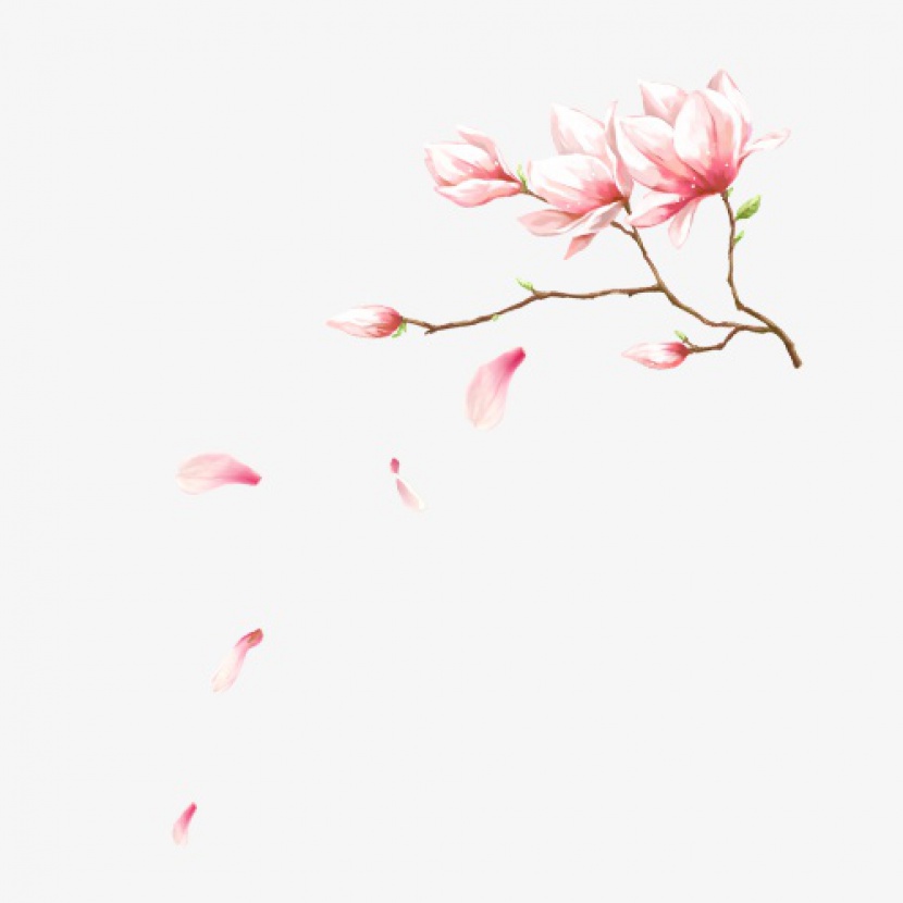 粉色风情桃树枝花瓣飘落