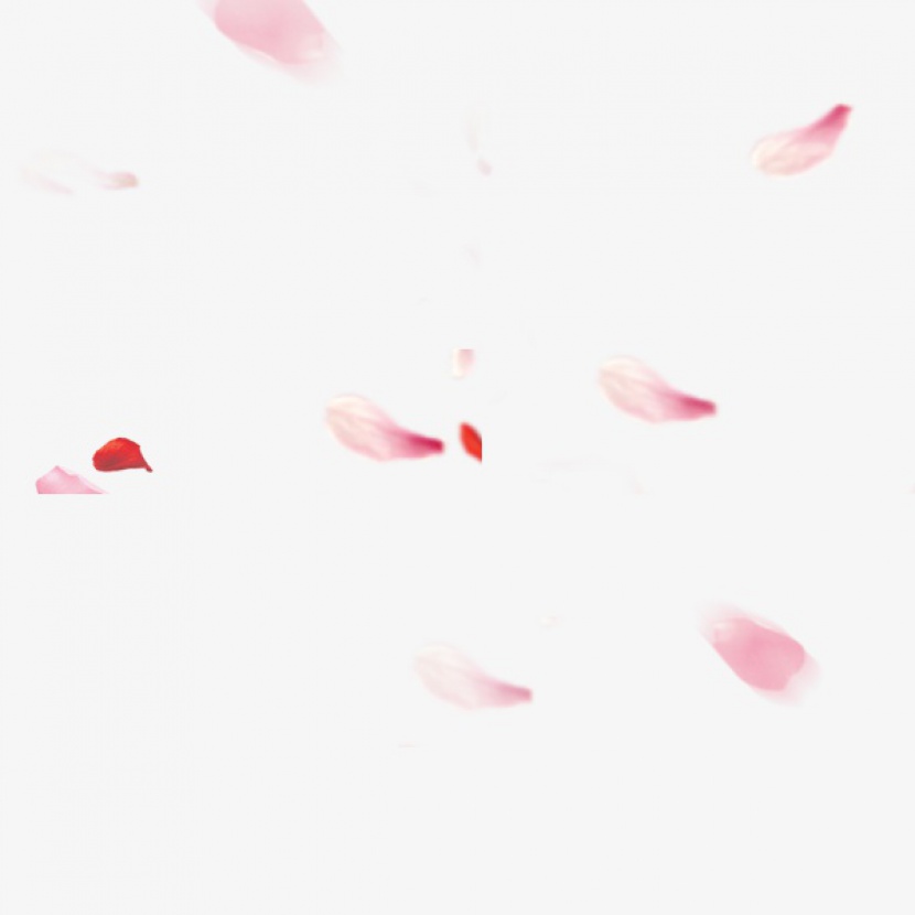 浪漫粉色玫瑰花瓣