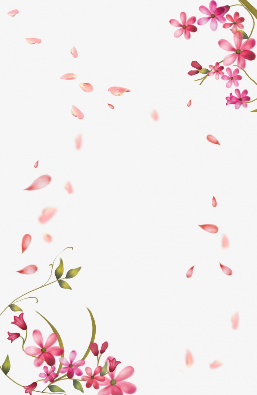春天妇女节情人节粉色花瓣边框漂浮素材