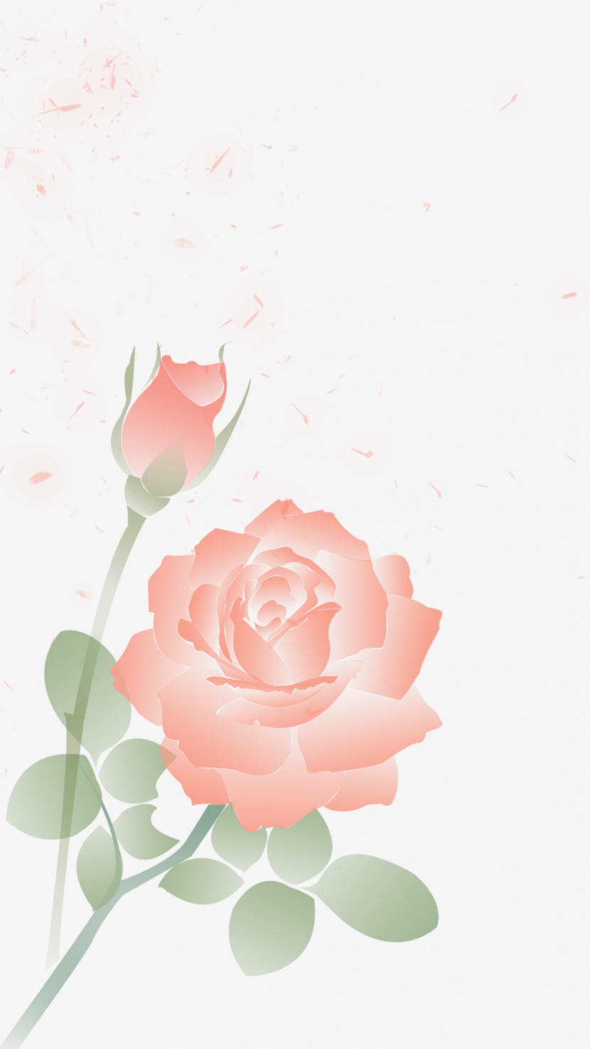 唯美浪漫玫瑰花朵花瓣