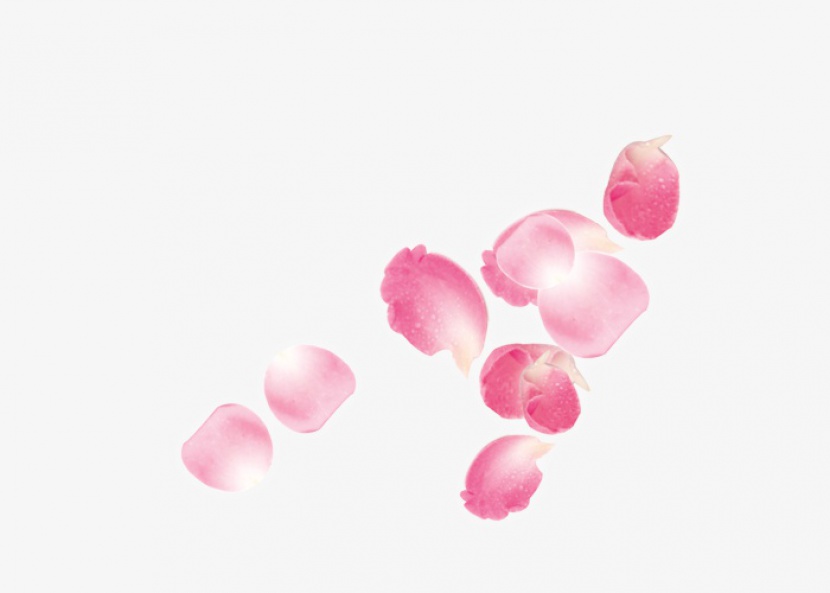 清新唯美飞舞的粉色玫瑰花瓣