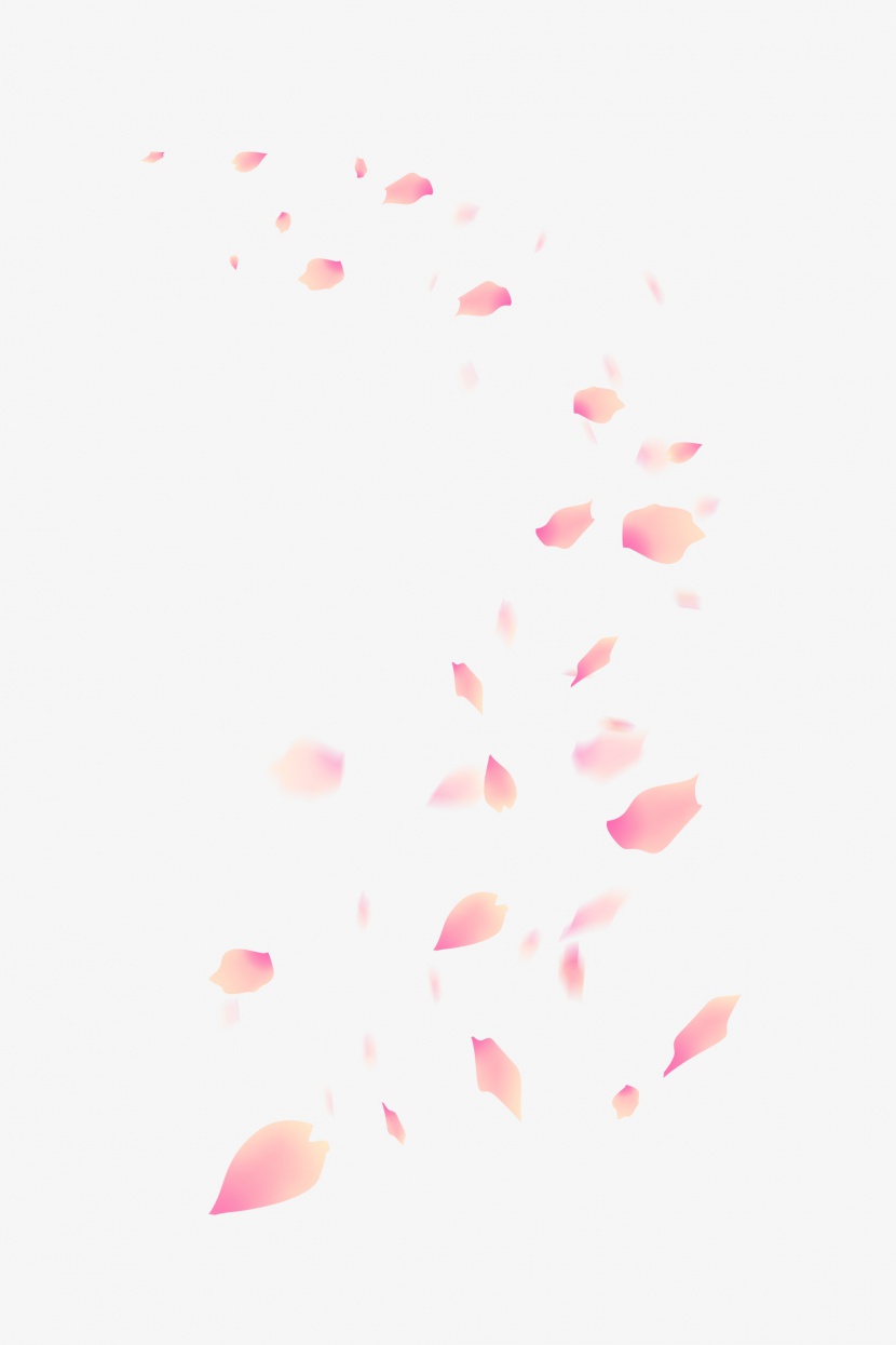 春天暖色扁平飘落的花瓣樱花png