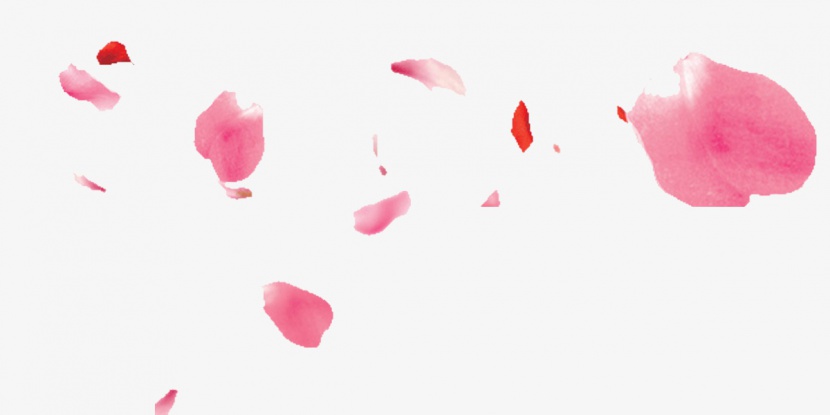 漂浮玫瑰粉色花瓣