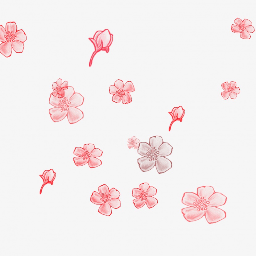 飘落的樱花花瓣元素
