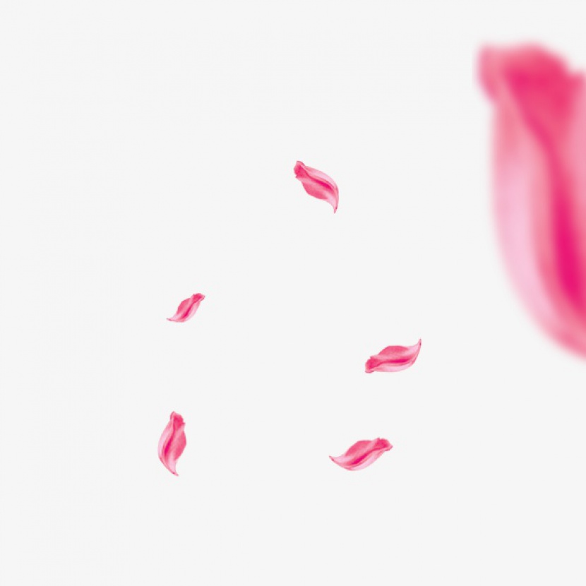 浪漫粉红漂浮花瓣