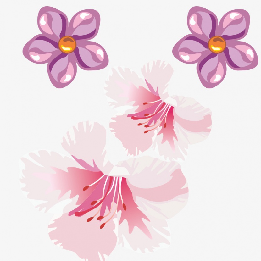 花粉色花瓣