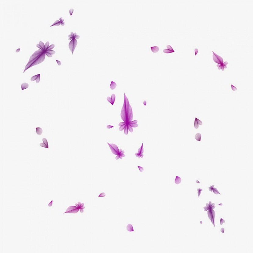 紫色花瓣飘落漂浮