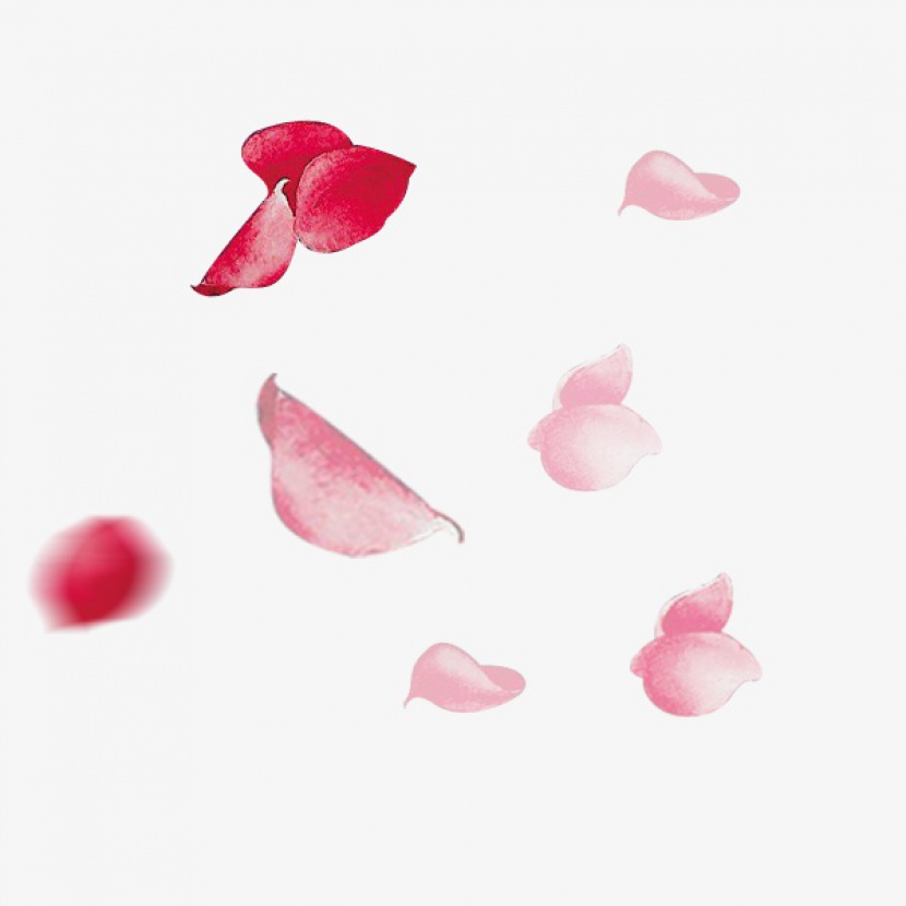 红色浪漫飘散的玫瑰花瓣