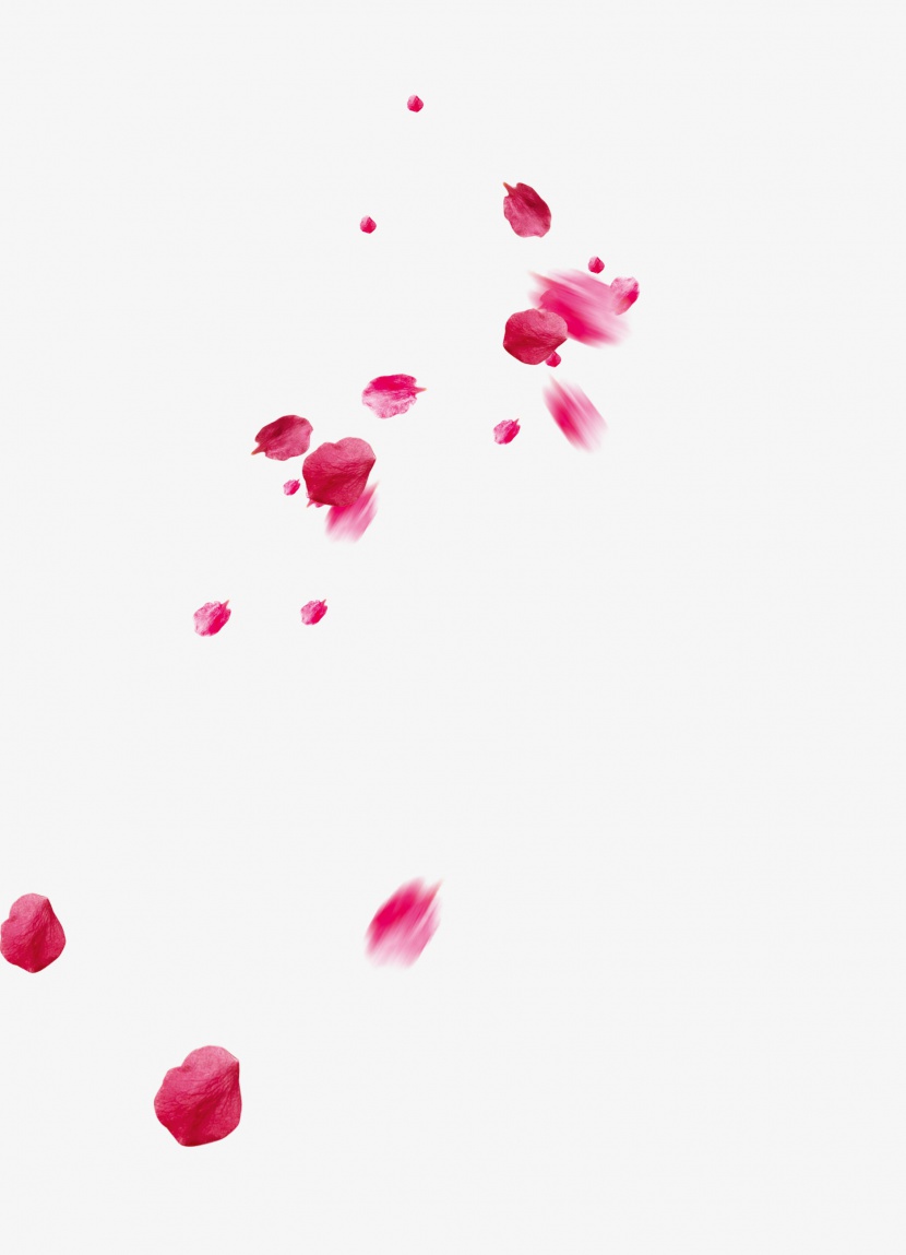 高清粉色漂浮花瓣