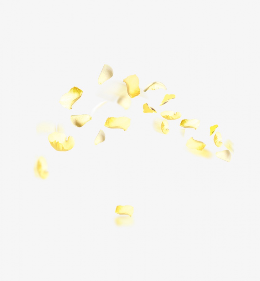 黄色花瓣高清png素材
