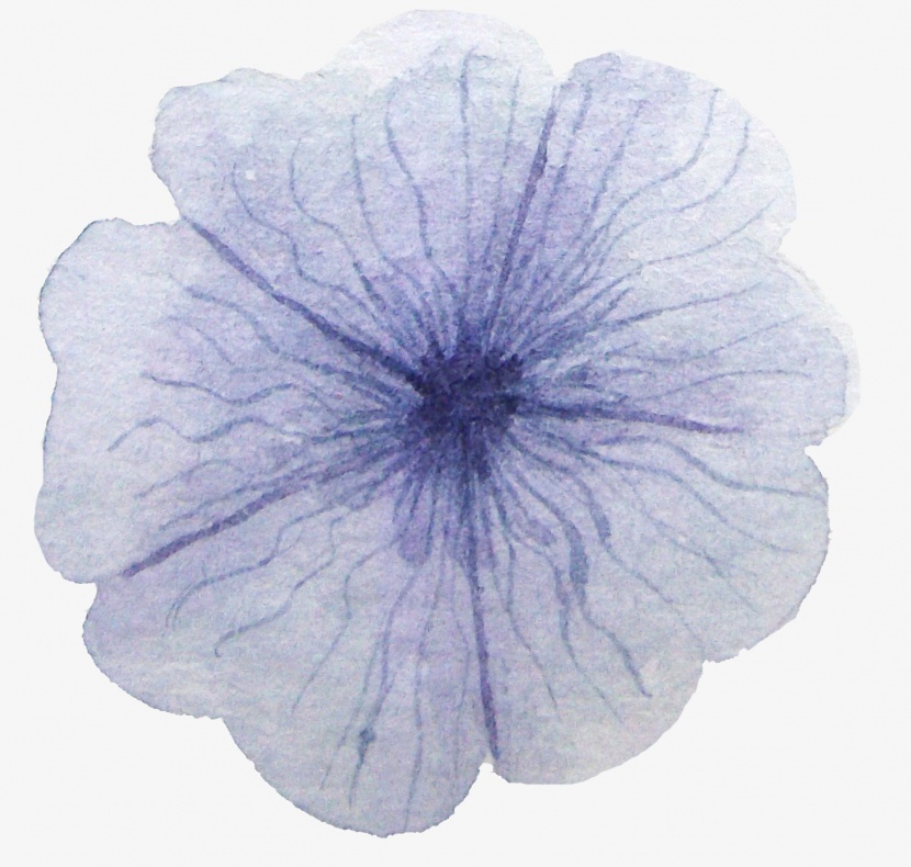 紫色手绘的有五朵花瓣的花朵