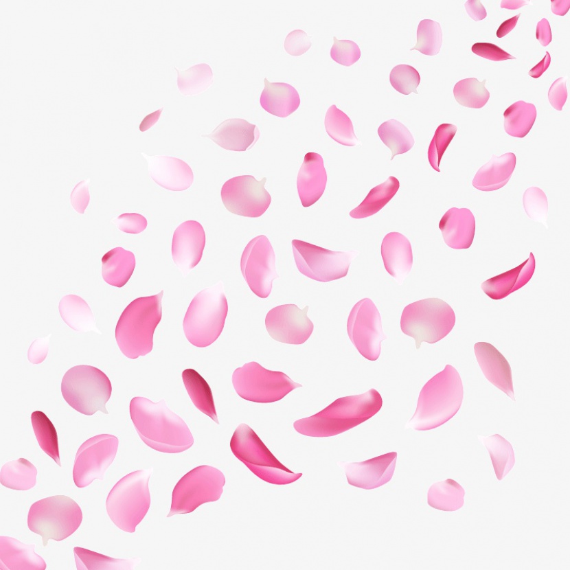 粉色樱花花瓣PNG元素