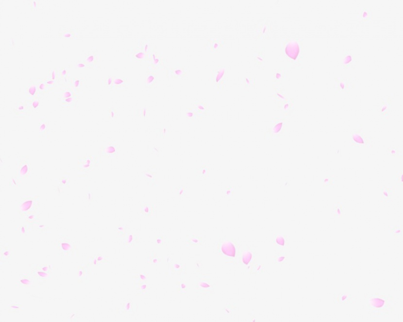 飞舞的粉色花瓣
