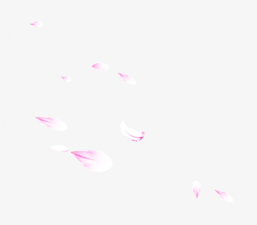 唯美漂浮粉色花瓣