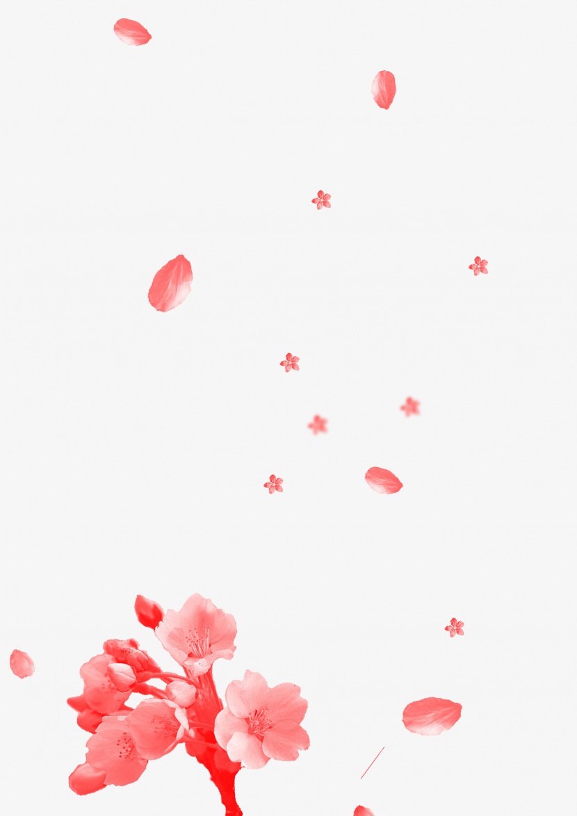 飞舞的粉色花瓣