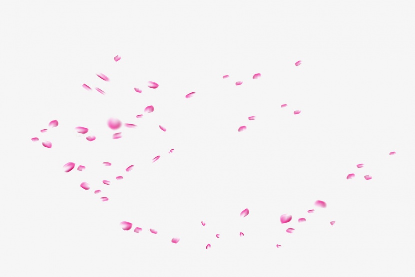 粉色花瓣高清png素材