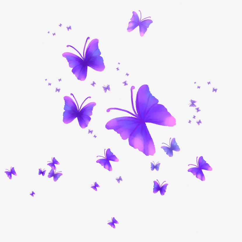 漂浮的蝴蝶漂浮的紫色蝴蝶飞舞的