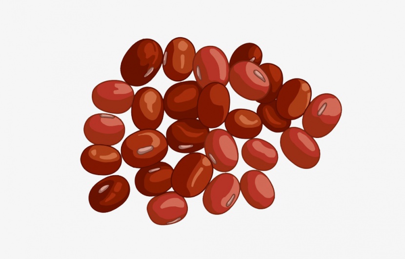 红豆素材