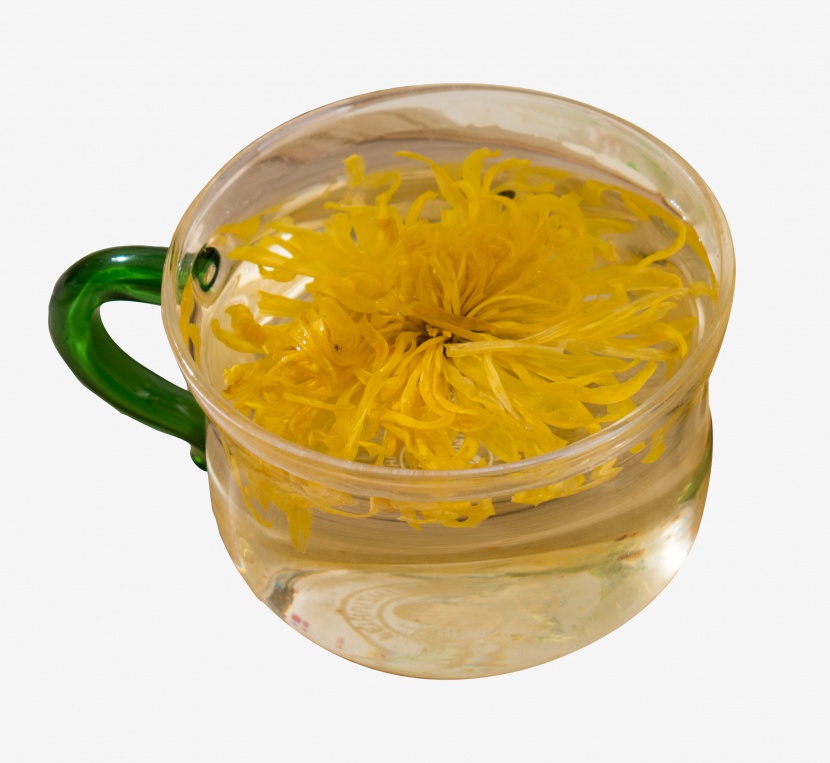杯子里的金丝黄菊