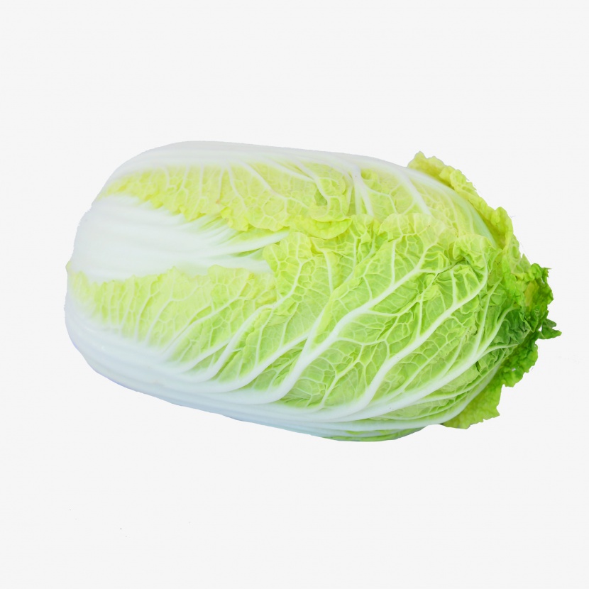 有机蔬菜圆白菜实物摄影