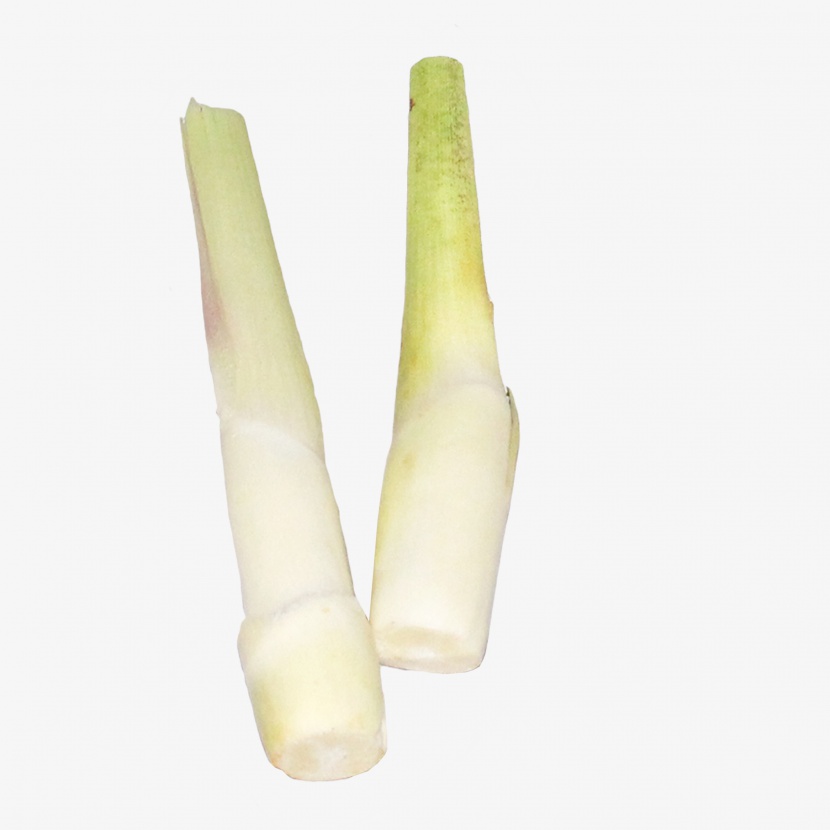 竹笋蔬菜免抠实物png素材