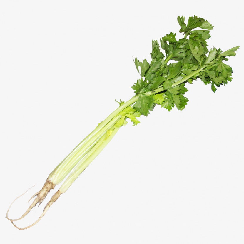 芹菜蔬菜免抠实物png素材