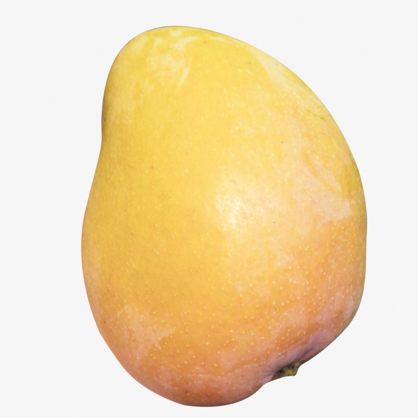 芒果实物免抠png素材