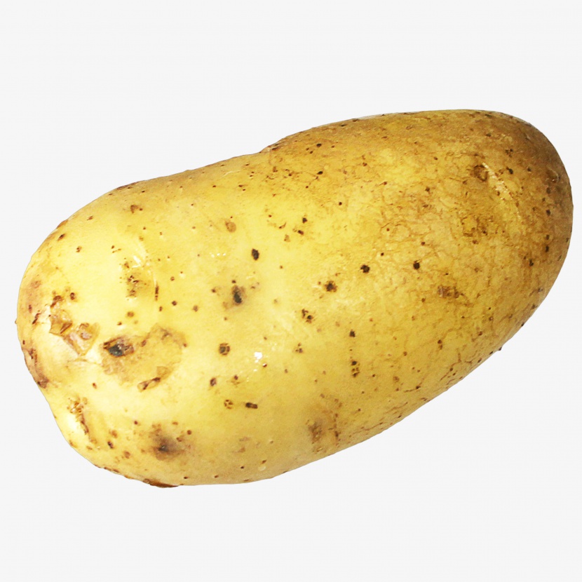 土豆马铃薯蔬菜实物免抠png素材