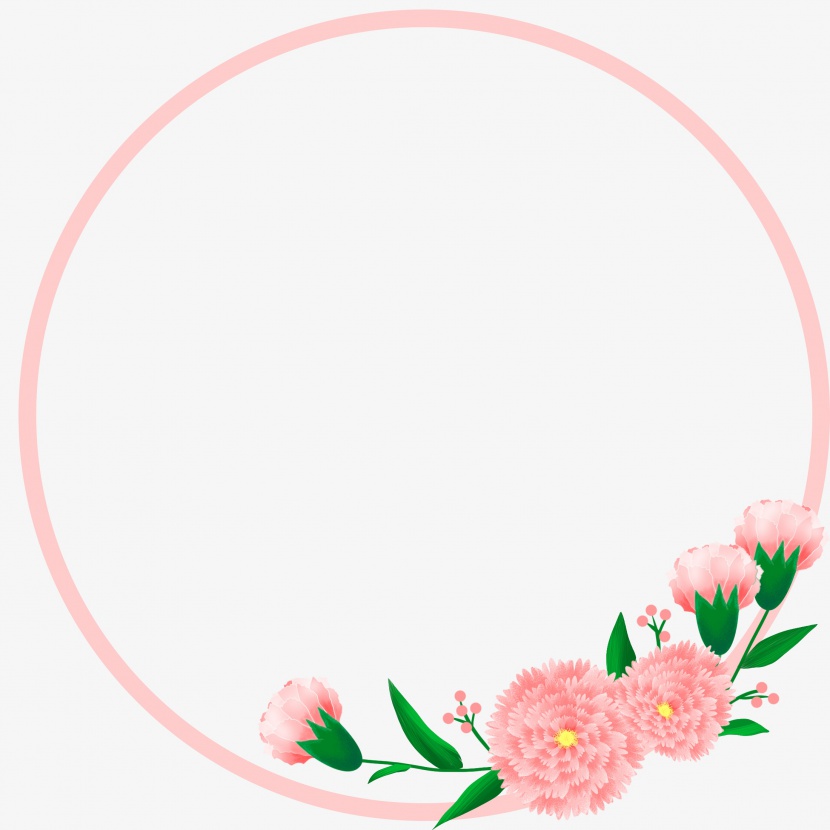 母亲节手绘康乃馨粉色植物边框