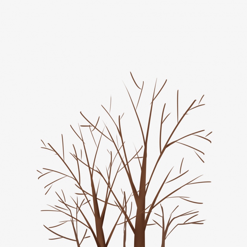 手绘树木冬季落叶后干树枝透明底