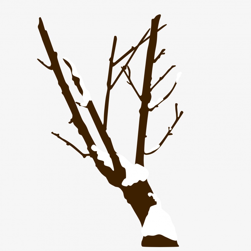 冬季落雪树枝插画