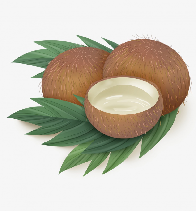 椰子汁和椰子叶