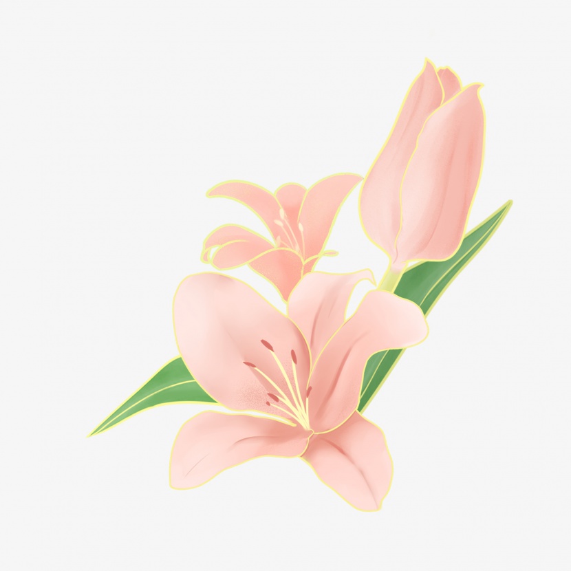 节日金边粉色手绘花叶装饰