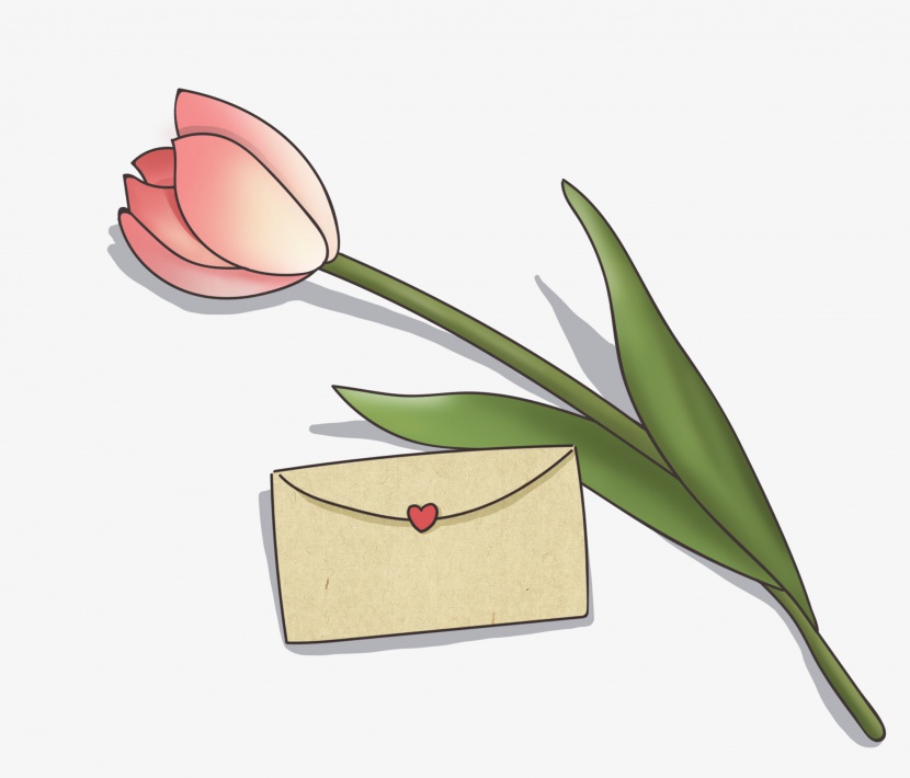 教师节送老师的花与信