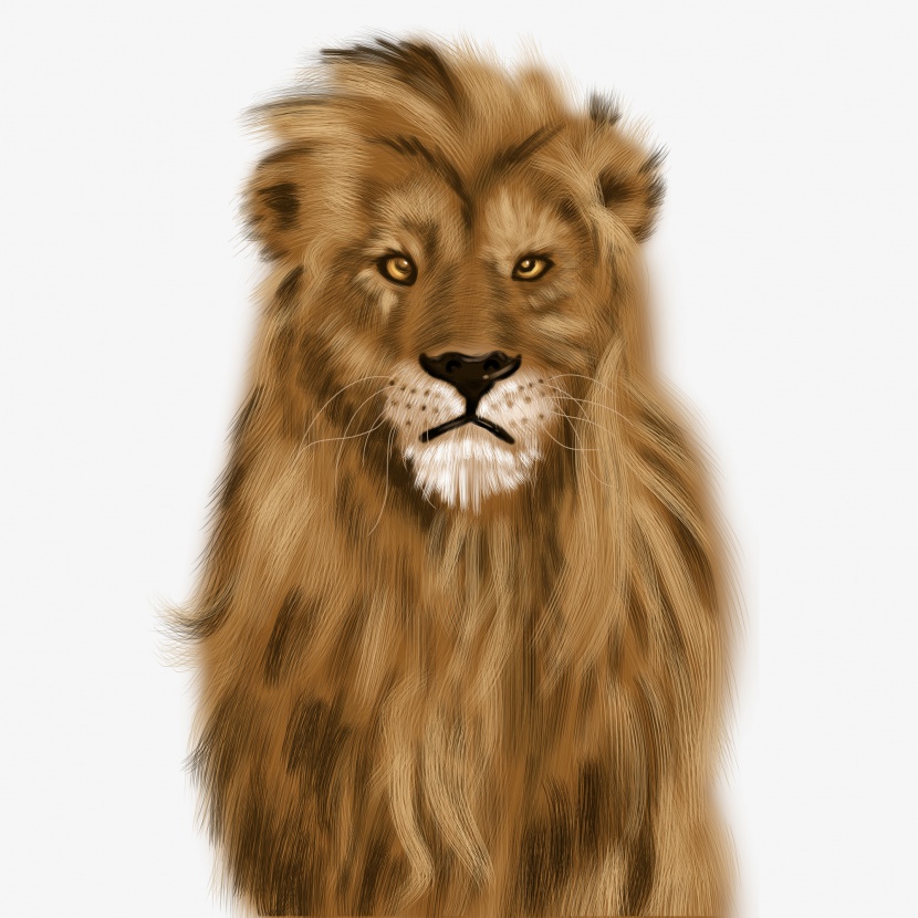 可爱狮子手绘插画psd