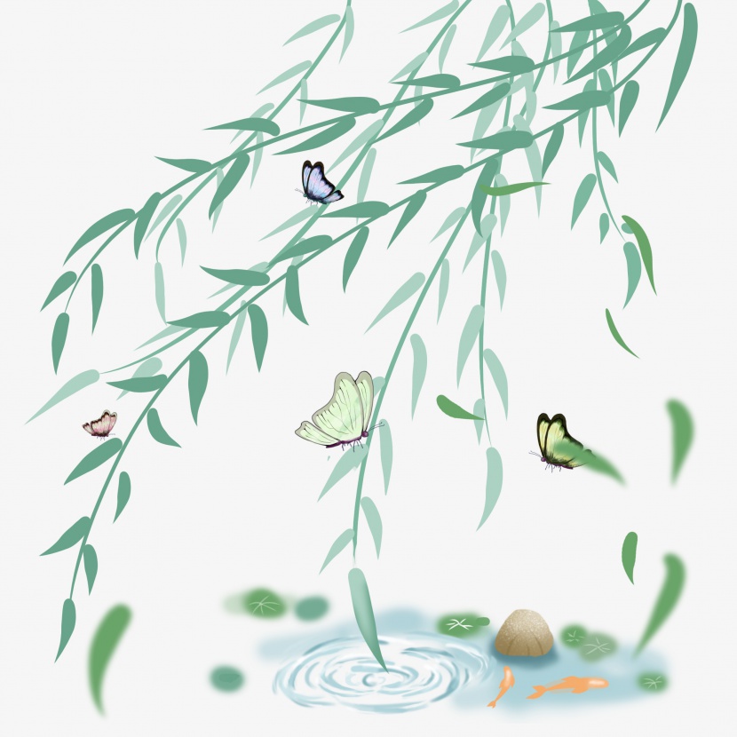 清明节池塘上柳条飞舞柳树