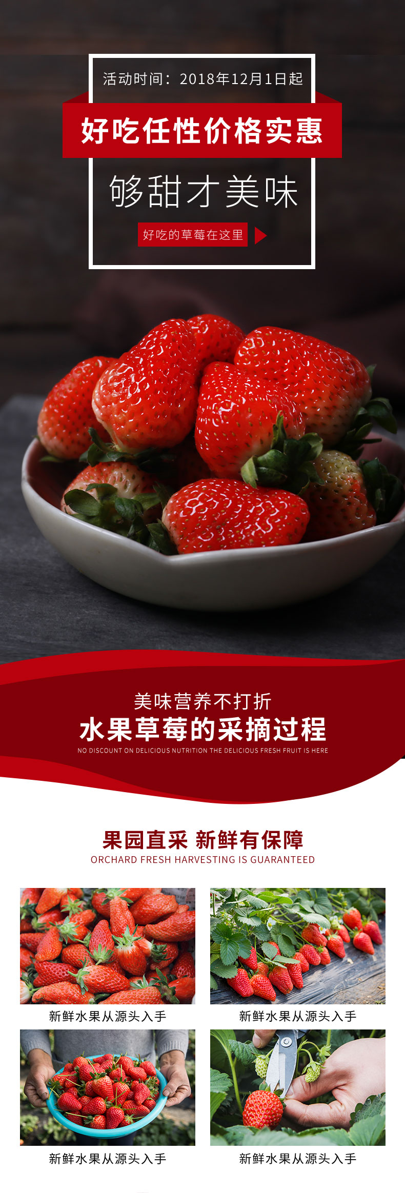 红色生鲜水果新鲜草莓日常通用详情页