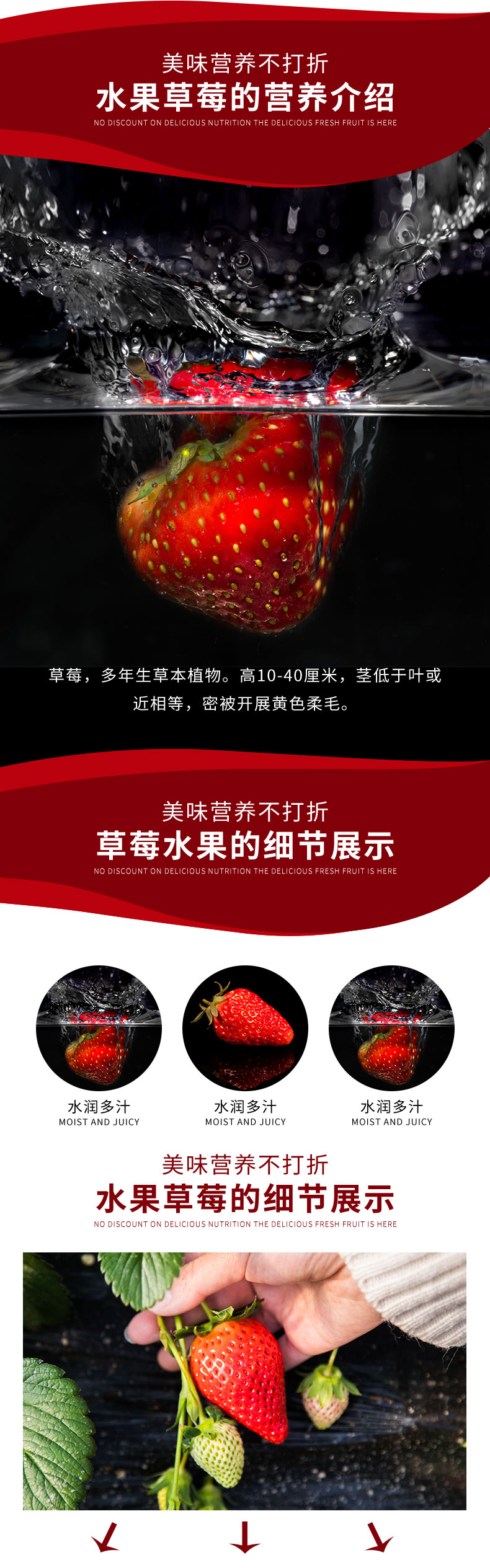 红色生鲜水果新鲜草莓日常通用详情页