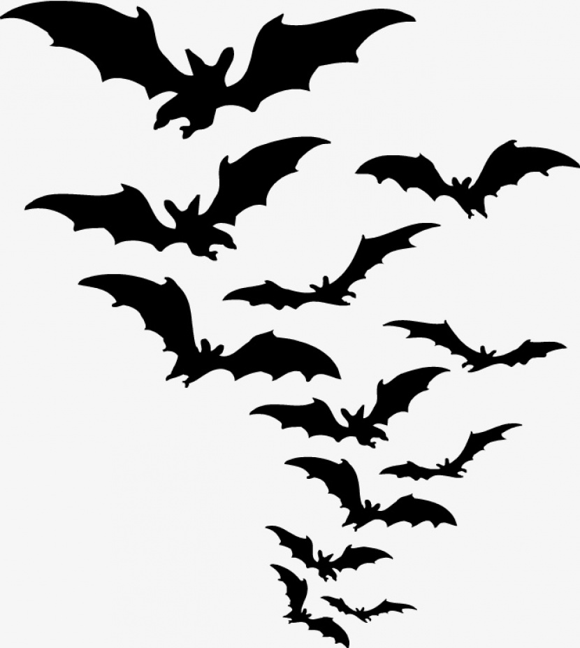 蝙蝠群动漫形象