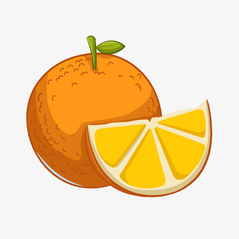 手绘水果橙子插画